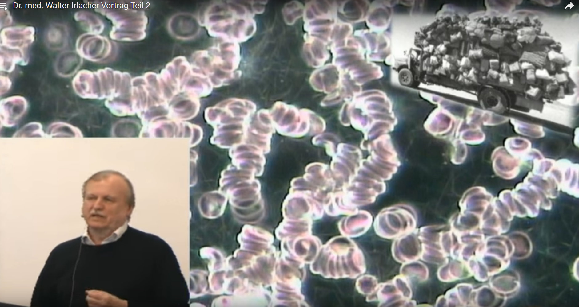 Vortrag Dr. med. Walter Irlacher