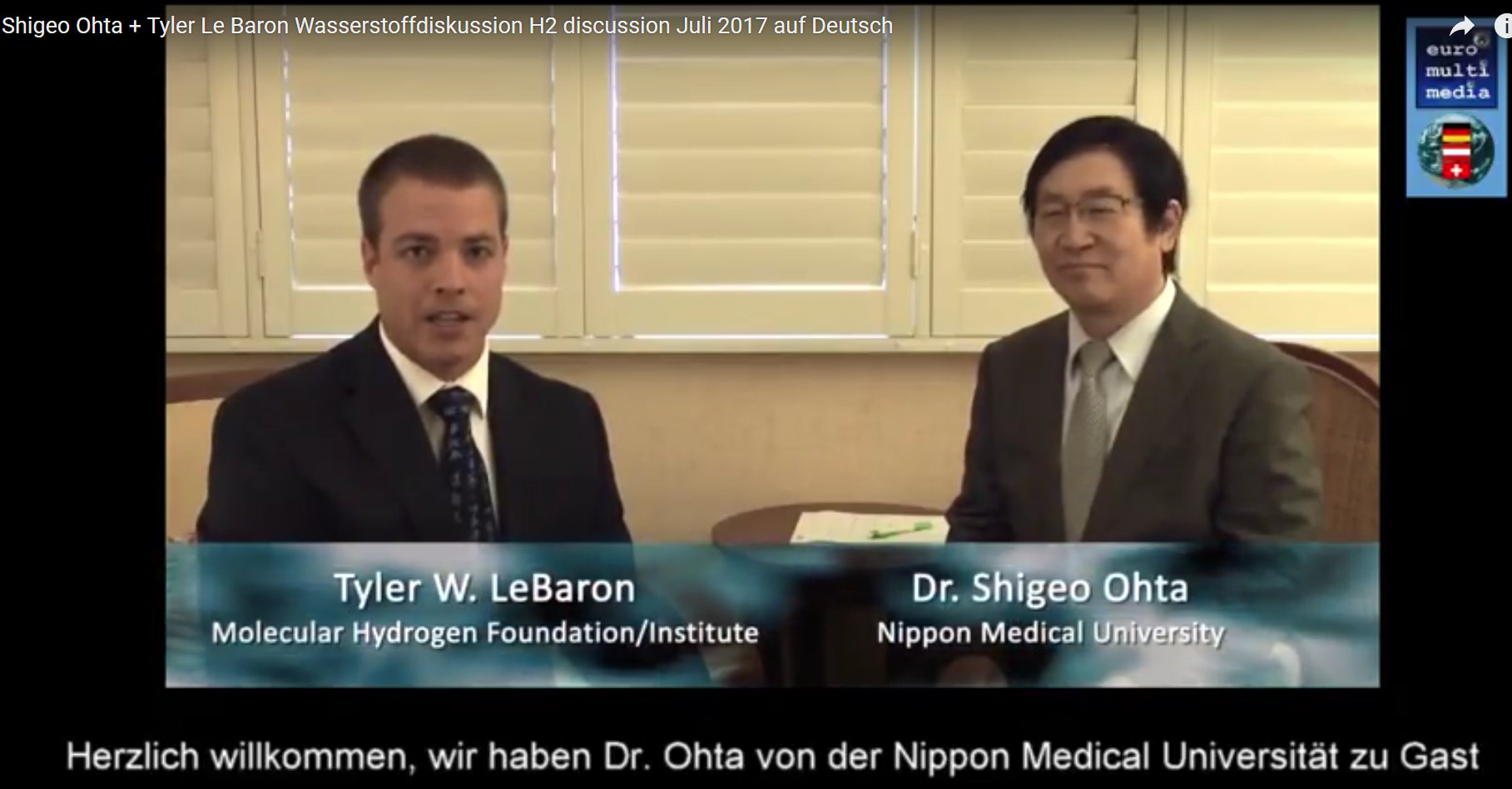 Wasserstoff-Diskussion Ohta & LeBaron 2017